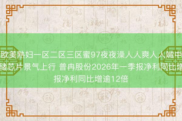 欧美熟妇一区二区三区蜜97夜夜澡人人爽人人喊中国片 存储芯片景气上行 普冉股份2026年一季报净利同比增逾12倍