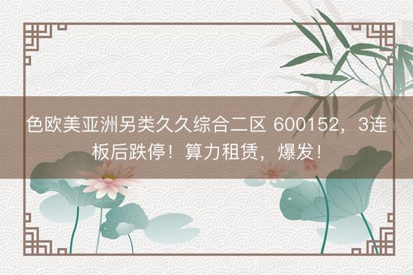 色欧美亚洲另类久久综合二区 600152，3连板后跌停！算力租赁，爆发！