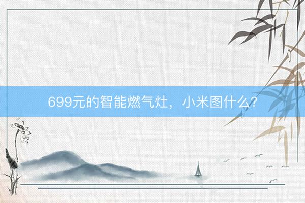 699元的智能燃气灶，小米图什么？