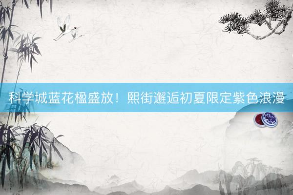 科学城蓝花楹盛放！熙街邂逅初夏限定紫色浪漫