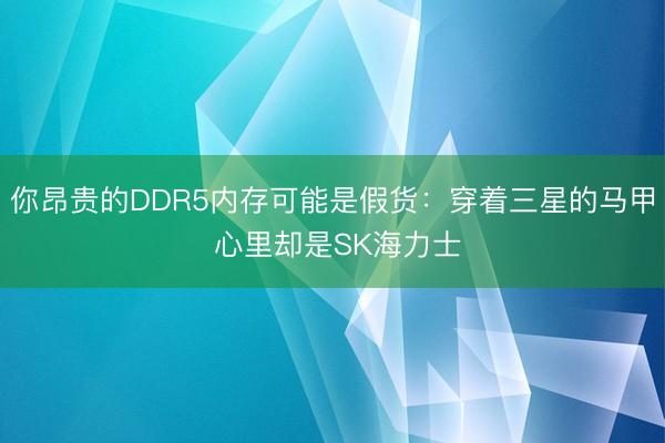 你昂贵的DDR5内存可能是假货：穿着三星的马甲 心里却是SK海力士