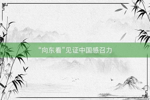 “向东看”见证中国感召力