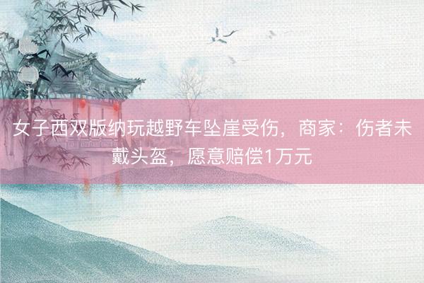 女子西双版纳玩越野车坠崖受伤，商家：伤者未戴头盔，愿意赔偿1万元