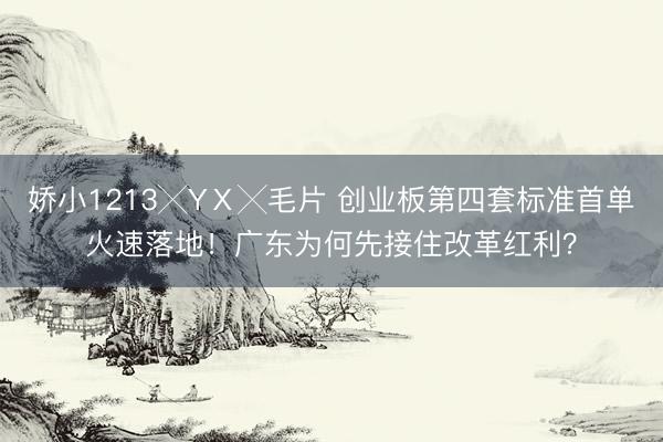娇小1213╳YⅩ╳毛片 创业板第四套标准首单火速落地！广东为何先接住改革红利？