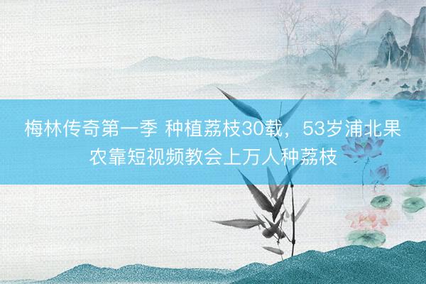 梅林传奇第一季 种植荔枝30载，53岁浦北果农靠短视频教会上万人种荔枝