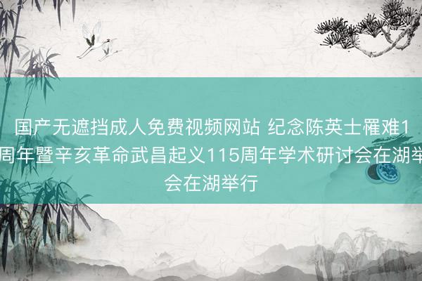 国产无遮挡成人免费视频网站 纪念陈英士罹难110周年暨辛亥革命武昌起义115周年学术研讨会在湖举行
