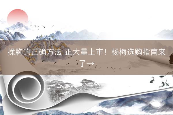 揉胸的正确方法 正大量上市！杨梅选购指南来了→