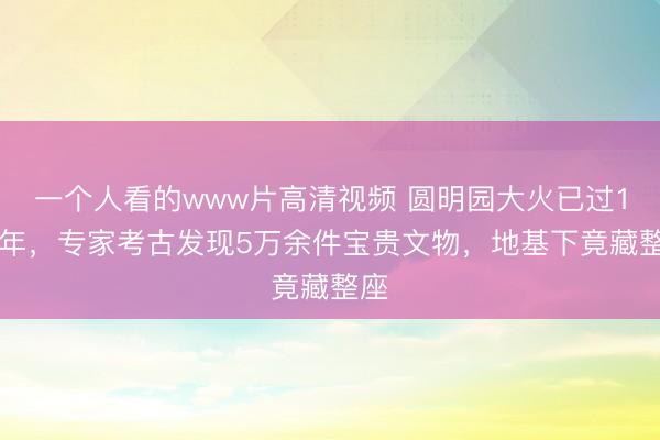一个人看的www片高清视频 圆明园大火已过150年,专家考古发现5万余件宝贵文物,地基下竟藏整座