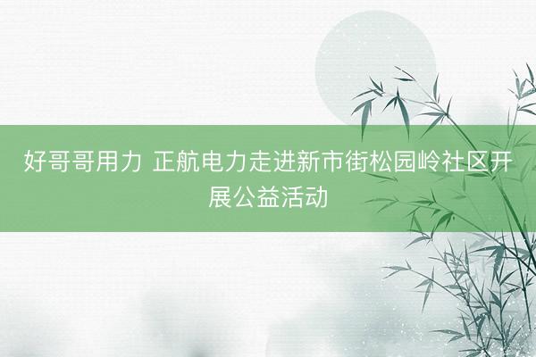 好哥哥用力 正航电力走进新市街松园岭社区开展公益活动