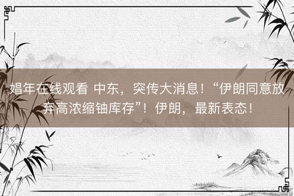 娼年在线观看 中东，突传大消息！“伊朗同意放弃高浓缩铀库存”！伊朗，最新表态！
