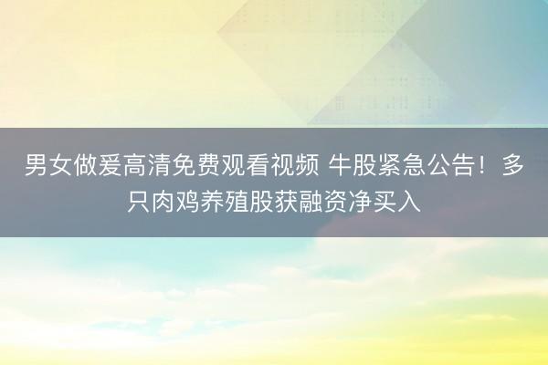 男女做爰高清免费观看视频 牛股紧急公告！多只肉鸡养殖股获融资净买入