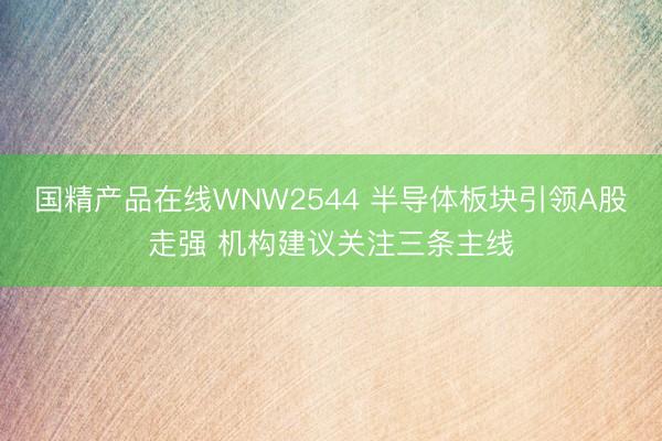 国精产品在线WNW2544 半导体板块引领A股走强 机构建议关注三条主线