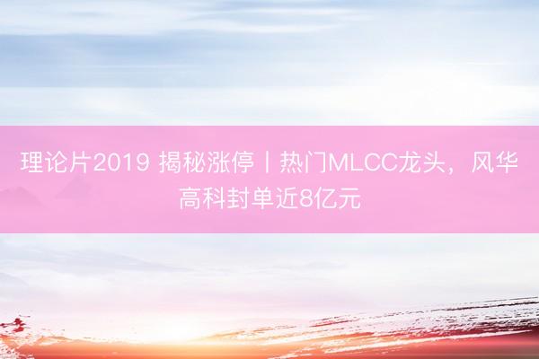 理论片2019 揭秘涨停丨热门MLCC龙头，风华高科封单近8亿元