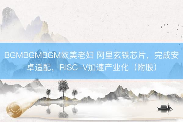 BGMBGMBGM欧美老妇 阿里玄铁芯片，完成安卓适配，RISC-V加速产业化（附股）