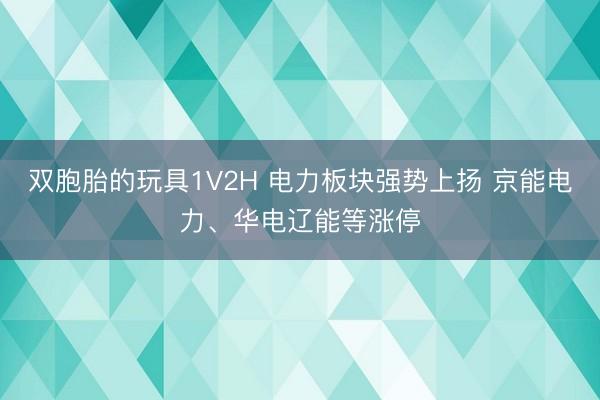 双胞胎的玩具1V2H 电力板块强势上扬 京能电力、华电辽能等涨停