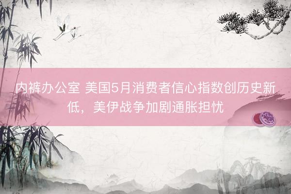 内裤办公室 美国5月消费者信心指数创历史新低,美伊战争加剧通胀担忧