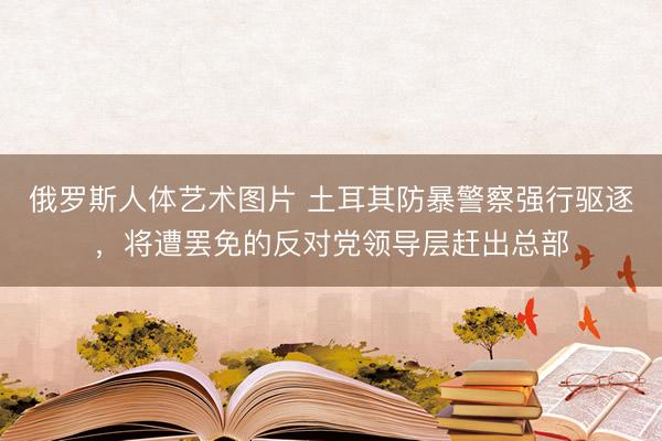 俄罗斯人体艺术图片 土耳其防暴警察强行驱逐，将遭罢免的反对党领导层赶出总部