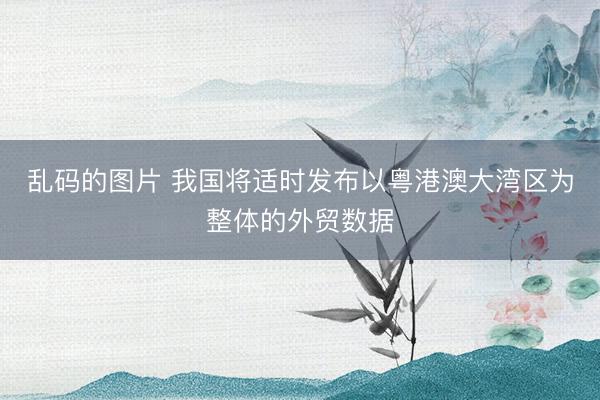乱码的图片 我国将适时发布以粤港澳大湾区为整体的外贸数据