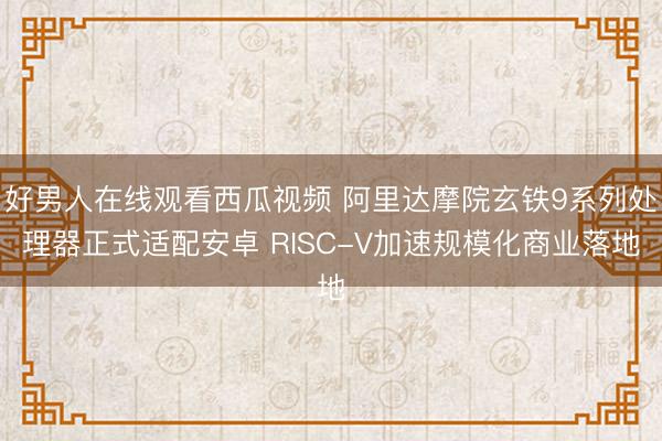 好男人在线观看西瓜视频 阿里达摩院玄铁9系列处理器正式适配安卓 RISC-V加速规模化商业落地