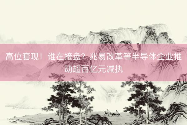 高位套现！谁在接盘？兆易改革等半导体企业推动超百亿元减执