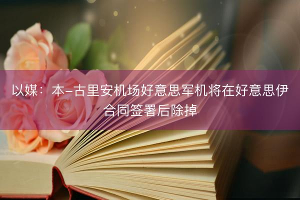 以媒：本-古里安机场好意思军机将在好意思伊合同签署后除掉