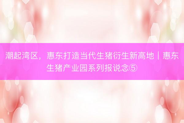 潮起湾区，惠东打造当代生猪衍生新高地｜惠东生猪产业园系列报说念⑤