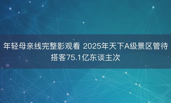 年轻母亲线完整影观看 2025年天下A级景区管待搭客75.1亿东谈主次