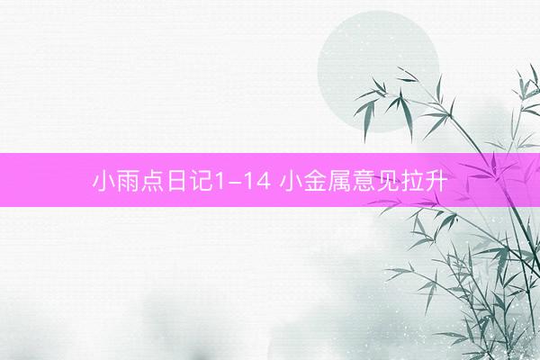 小雨点日记1-14 小金属意见拉升