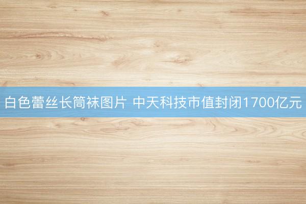 白色蕾丝长筒袜图片 中天科技市值封闭1700亿元