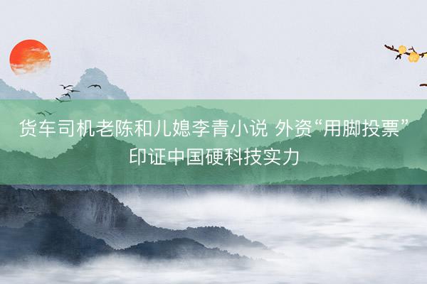 货车司机老陈和儿媳李青小说 外资“用脚投票”印证中国硬科技实力