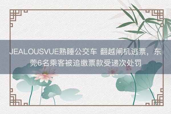 JEALOUSVUE熟睡公交车 翻越闸机逃票，东莞6名乘客被追缴票款受递次处罚