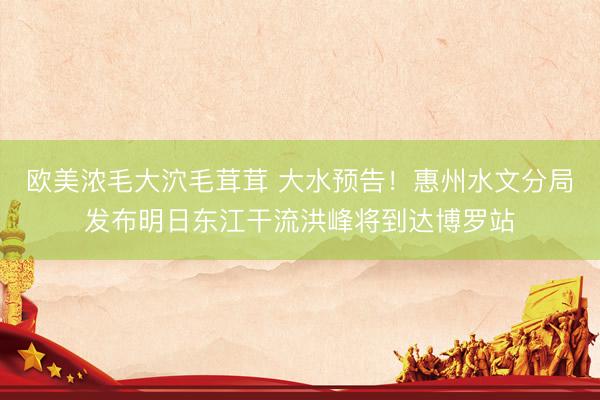 欧美浓毛大泬毛茸茸 大水预告！惠州水文分局发布明日东江干流洪峰将到达博罗站