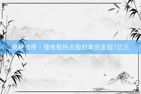 揭秘涨停丨锂电板热点股封单资金超7亿元