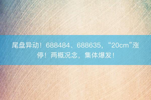 尾盘异动!688484、688635,“20cm”涨停!两概况念,集体爆发!