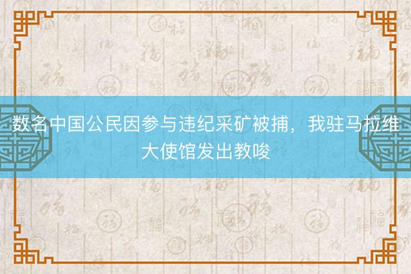 数名中国公民因参与违纪采矿被捕，我驻马拉维大使馆发出教唆