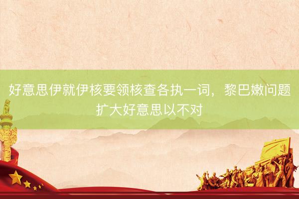 好意思伊就伊核要领核查各执一词，黎巴嫩问题扩大好意思以不对